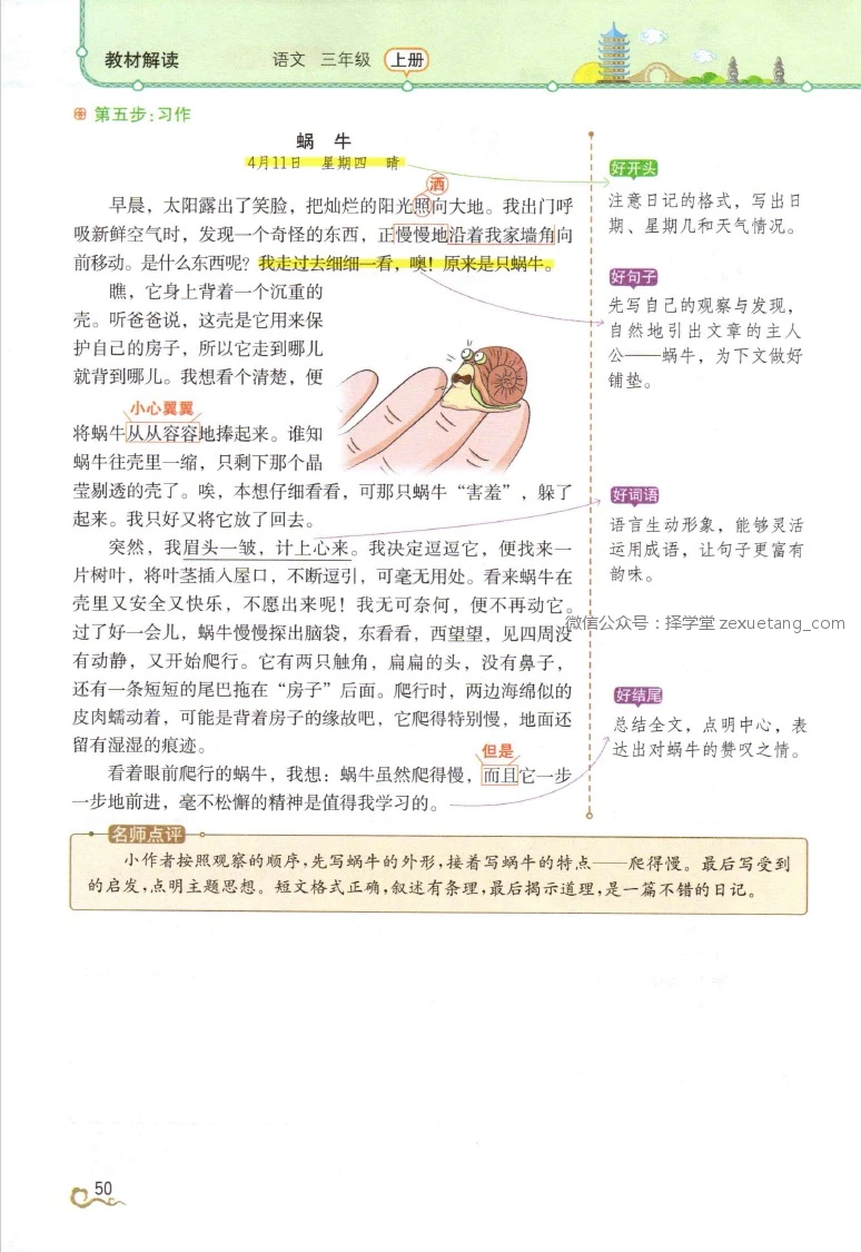 学生篮球队如何有效使用战术板_2